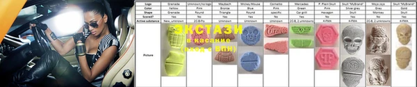 гашик Каменка