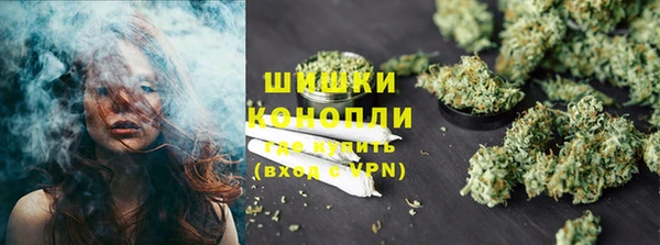 гашик Каменка