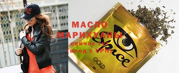гашик Каменка