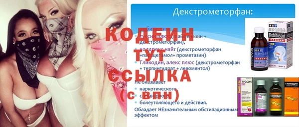 гашик Каменка