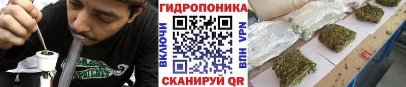 Купить где  Лысьва  Бошки марихуана VHQ 
